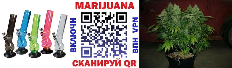 МЕГА зеркало  мориарти Telegram  Гусев  Шишки марихуана семена  сколько стоит 
